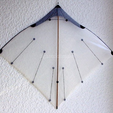 Segel: -
Segelmaterial: Orcon
Bogenstab: Carbon 1,5 mm
Mittelstab: Bambus geschnitzt
Gesamtgewicht: 8,7 g Segel: -
Segelmaterial: Orcon
Bogenstab: Carbon 1,5 mm
Mittelstab: Bambus geschnitzt
Gesamtgewicht: 8,7 g